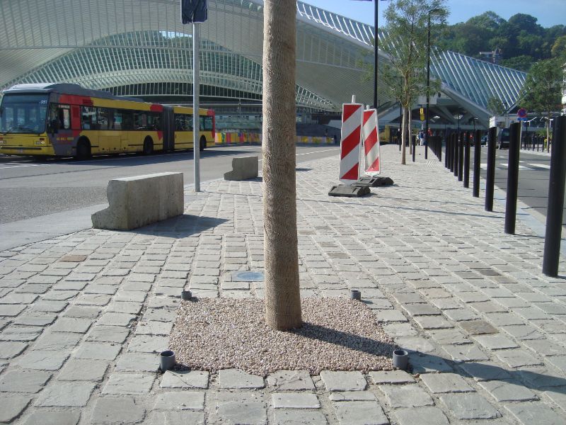 Tree grids Liège