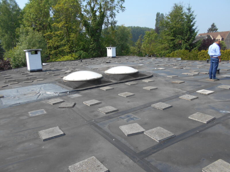 Flat roof, Ternat