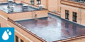 Water retention roofs